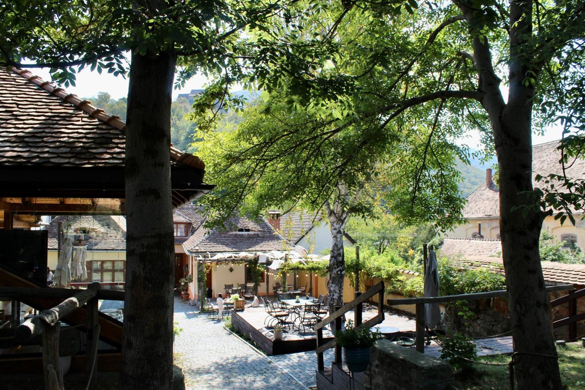 Pensiunea Agora Cisnadioara Exteriör bild