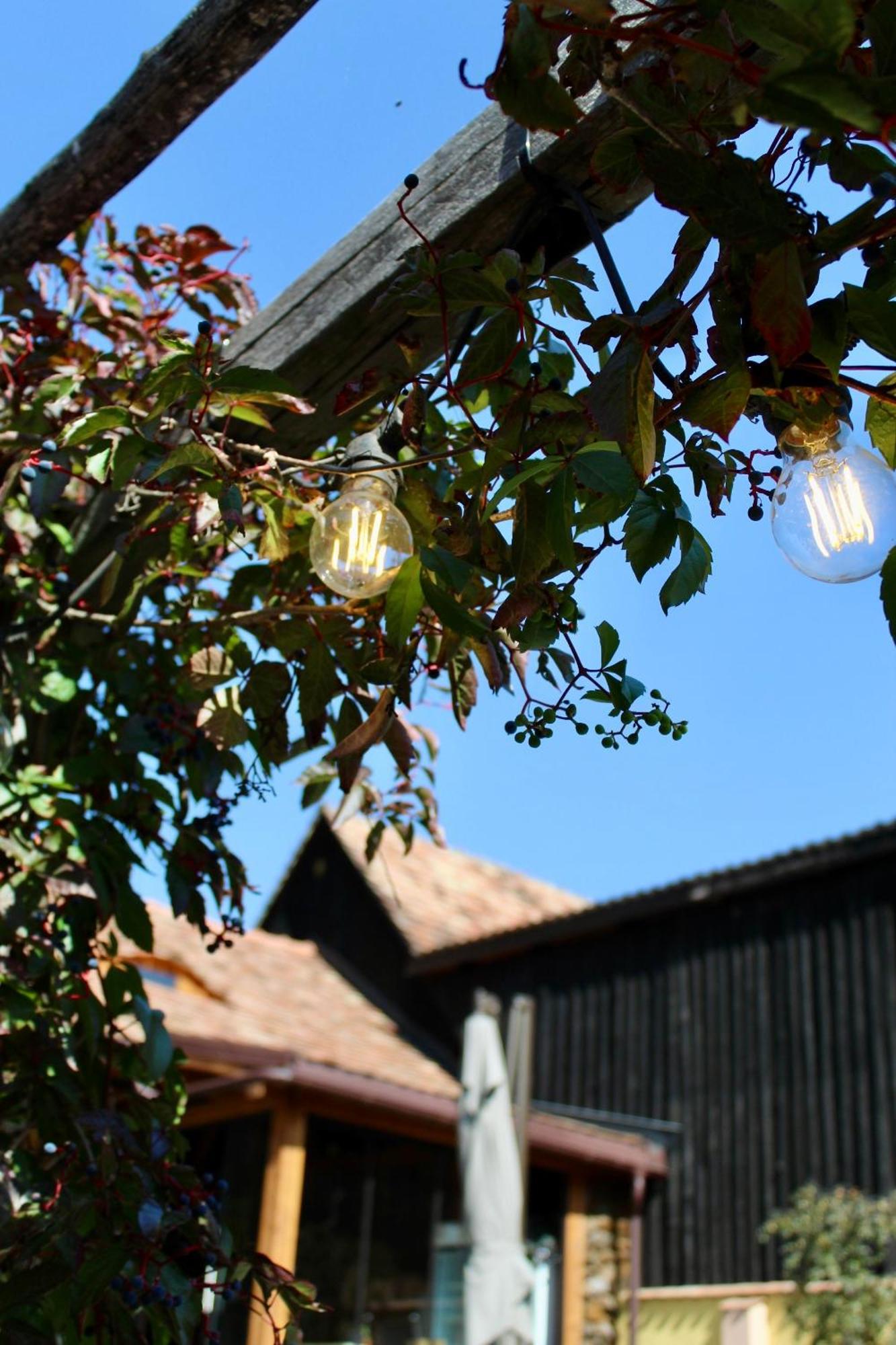 Pensiunea Agora Cisnadioara Exteriör bild